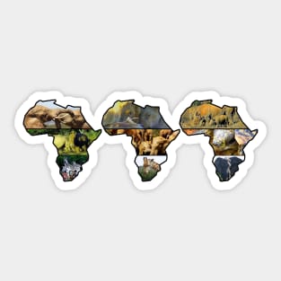 African Wildlife Continent Collage Trio Sticker